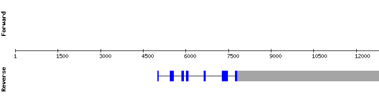 gene structure