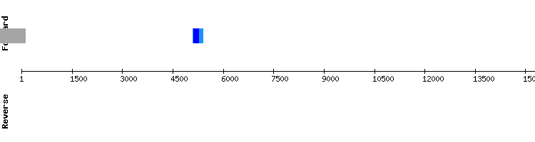 gene structure