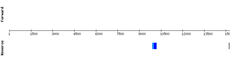 gene structure