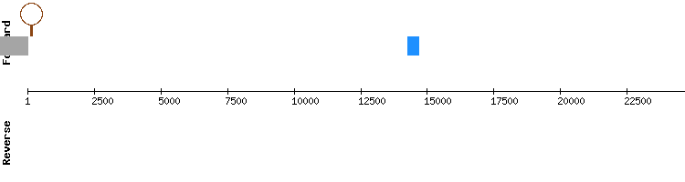 gene structure
