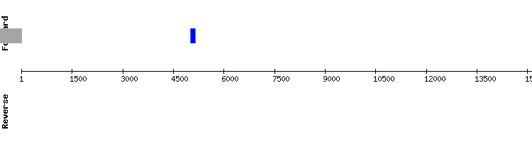 gene structure