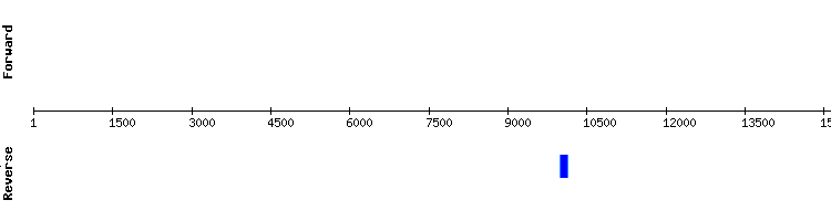gene structure