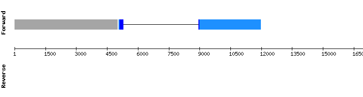 gene structure