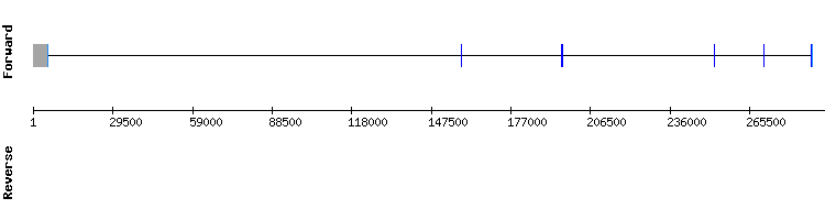 gene structure