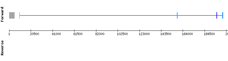 gene structure