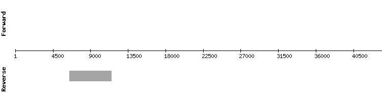 gene structure