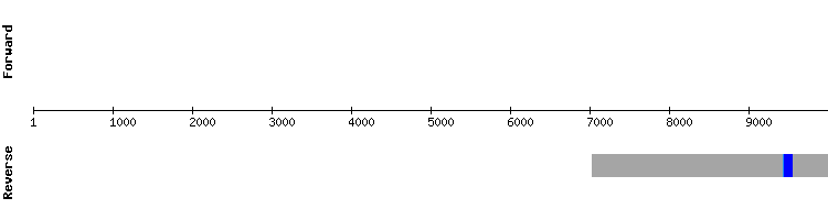 gene structure