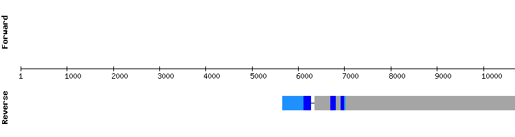 gene structure