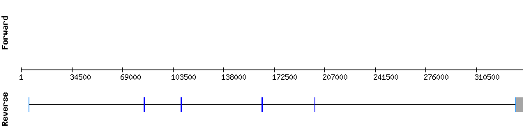 gene structure