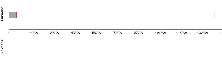 gene structure