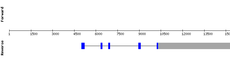 gene structure