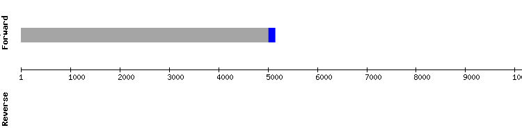 gene structure