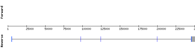 gene structure