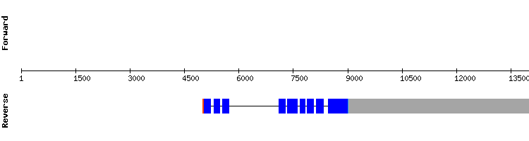 gene structure