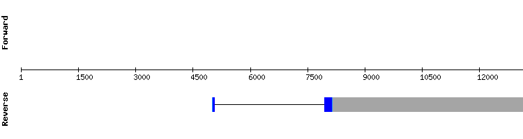 gene structure