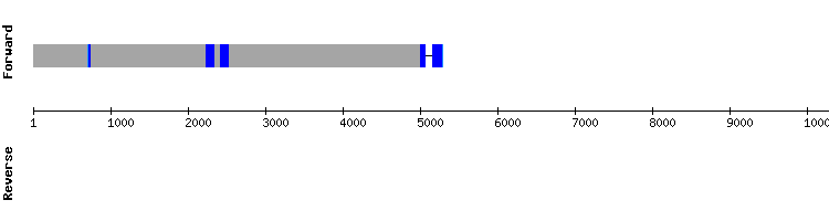 gene structure