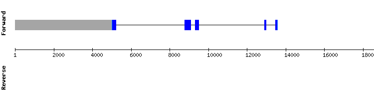 gene structure